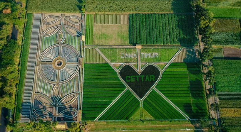 Fenomena Crop Circle